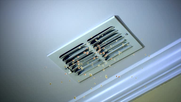 Best Professional Duct Cleaning Services  in Mamou, LA