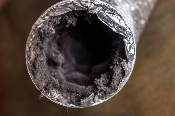 Best Air Duct Cleaning Company Near Me  in Mamou, LA