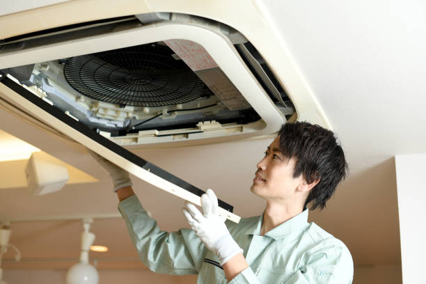 Best Home Air Vent Cleaning  in Mamou, LA