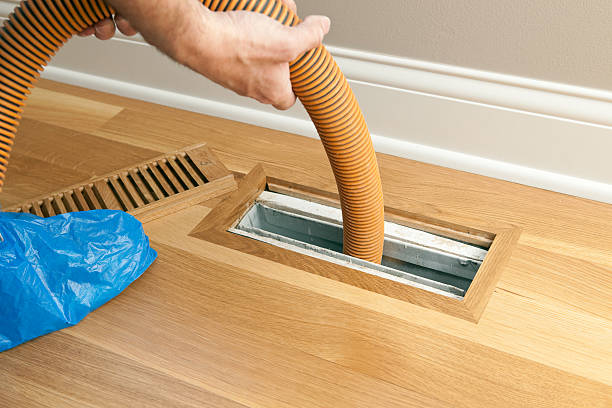 Best Affordable Air Duct Cleaning  in Mamou, LA