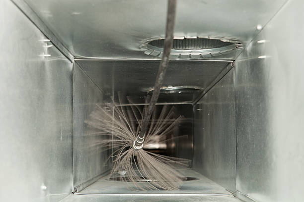 Best Air Duct Cleaning Near Me  in Mamou, LA